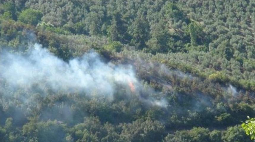 Orhangazi&rsquo;De Piknik&ccedil;ilerin Ateşi 2 D&ouml;n&uuml;ml&uuml;k Alanı Orman Alanını Yaktı