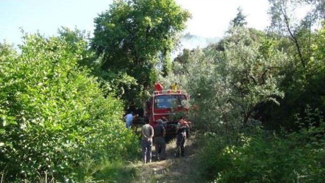 Orhangazi’De Piknikçilerin Ateşi 2 Dönümlük Alanı Orman Alanını Yaktı