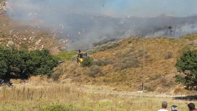 Avşa Adası’Nda Çöplükte Çıkan Yangın Zeytinliklere Sıçradı (2)