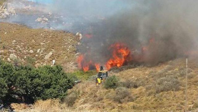 Avşa Adası’Nda Çöplükte Çıkan Yangın Zeytinliklere Sıçradı (2)