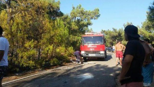 Yangın Tüpleriyle Ormanı Kurtardılar