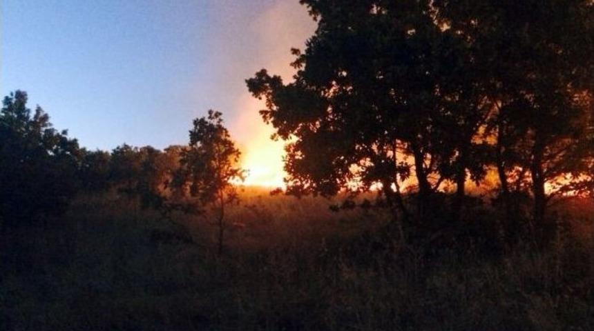 Diyarbakır&rsquo;ın Kulp İl&ccedil;esinde Korkutan Yangın