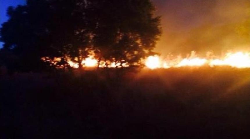 Kulp Barın'da B&uuml;y&uuml;k Yangın