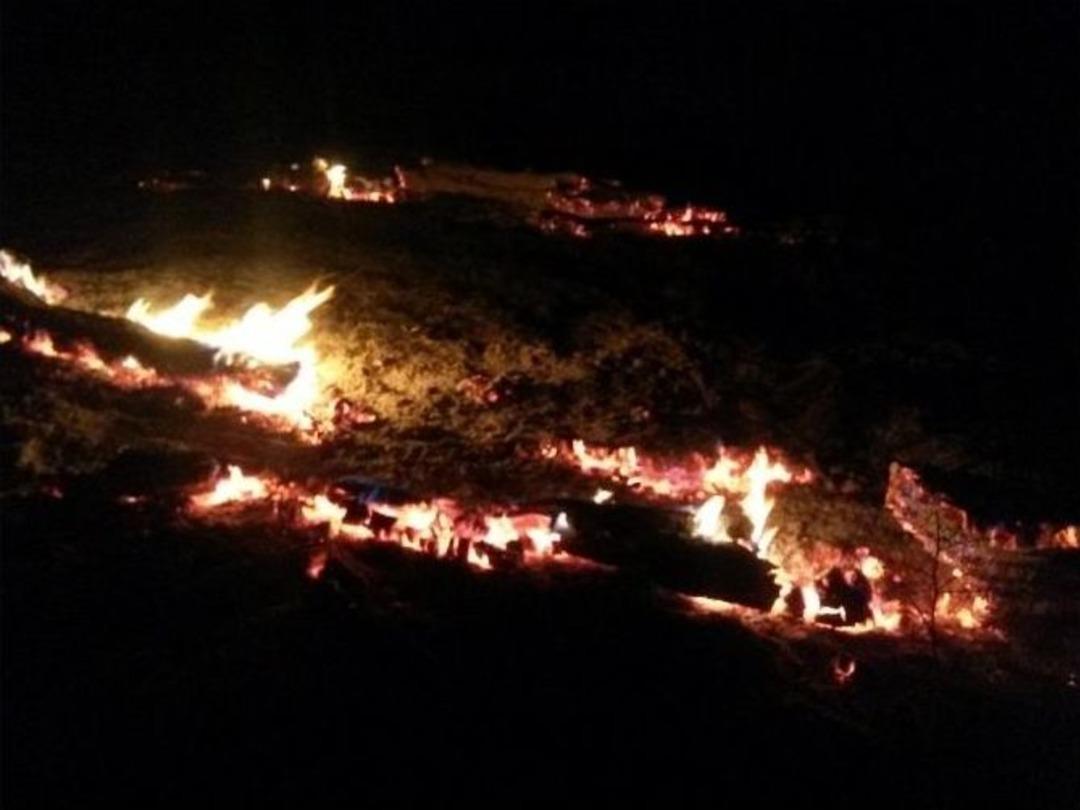 Diyarbakır&rsquo;da &Ccedil;ıkan Yangında Bin D&ouml;n&uuml;ml&uuml;k Alan K&uuml;l Oldu