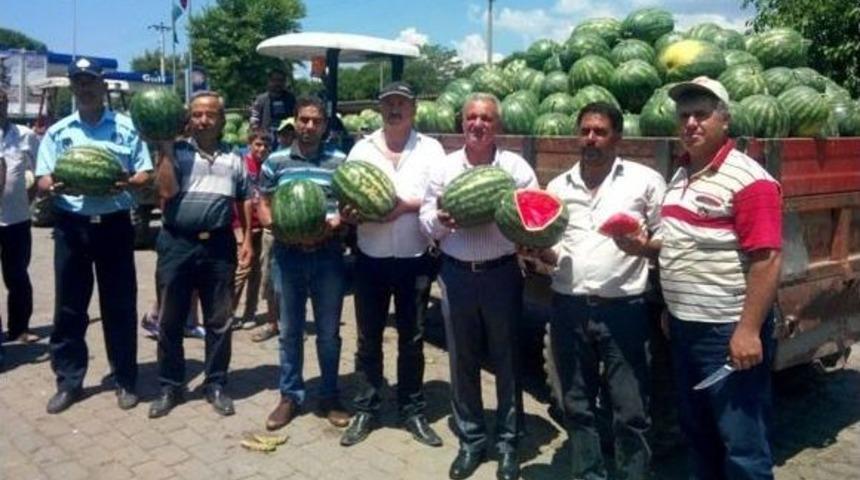 Canını Ve Malını Seven At&ccedil;a Karpuz Halinden Uzak Durmaya Başladı