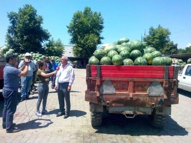 Canını Ve Malını Seven Atça Karpuz Halinden Uzak Durmaya Başladı