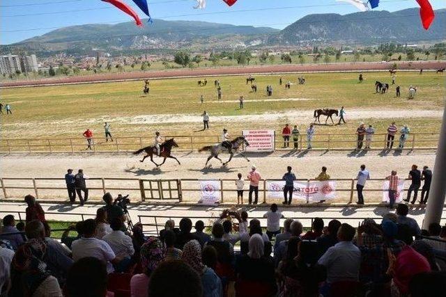 Kütahya’da Rahvan At Yarışları