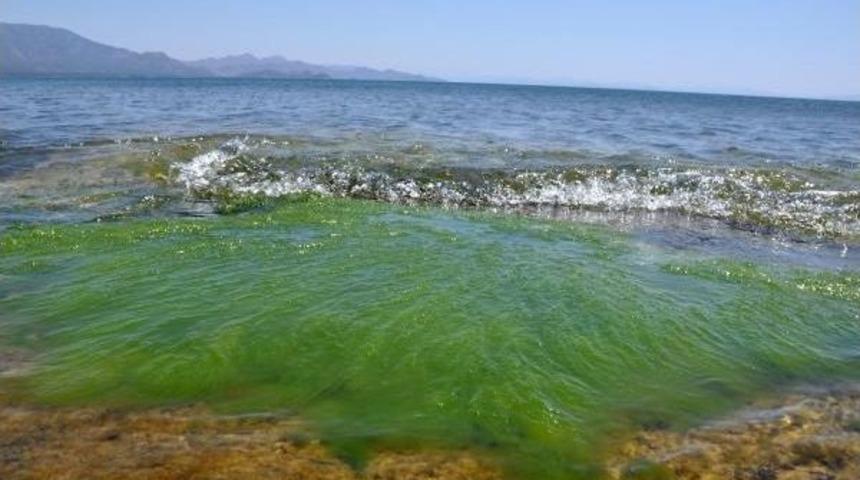 Dat&ccedil;a'da Deniz Kirliliği Uyarısı