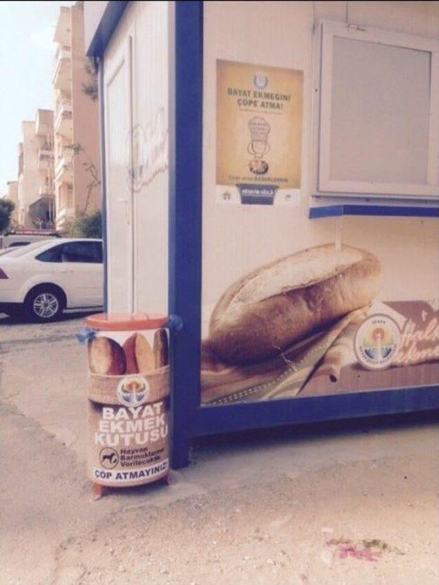 Bayat Ekmek Toplama Ve Değerlendirme Projesi 1