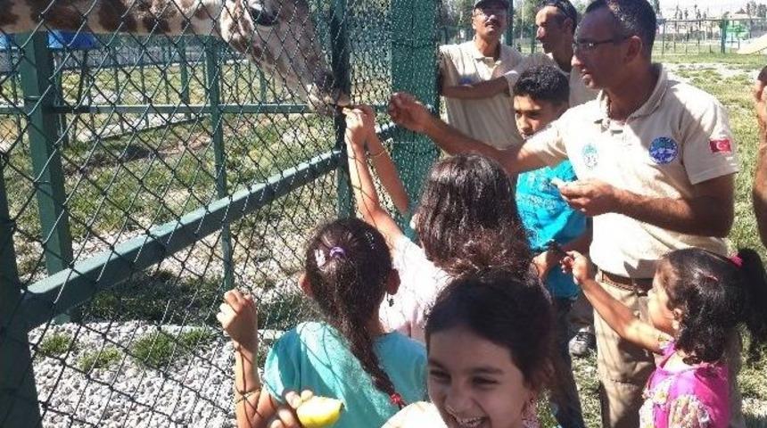 Z&uuml;rafa Yavrusunun Doğum G&uuml;n&uuml; Kutlandı