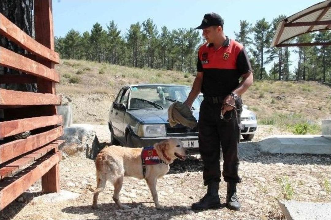 12 G&uuml;nd&uuml;r Kayıp Olan Şahsı Komandolar Aradı