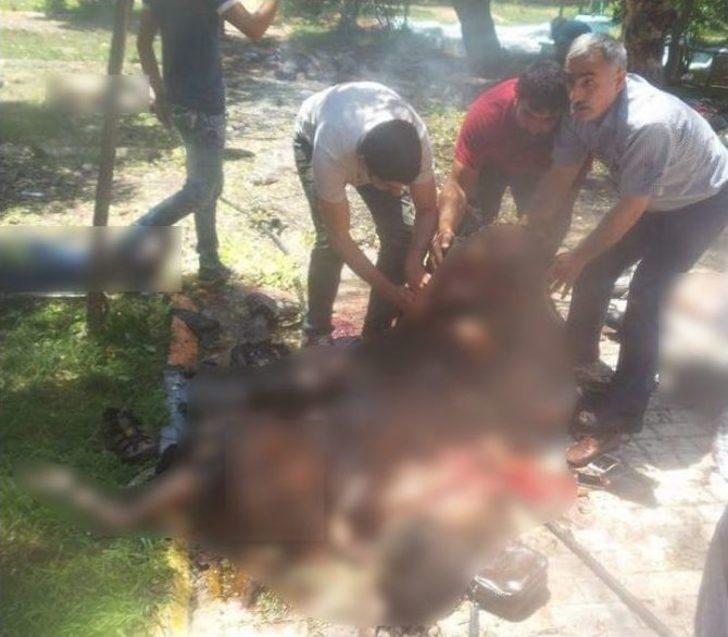 Suruç’ta Patlama: En Az 10 Ölü, 45 Yaralı G2