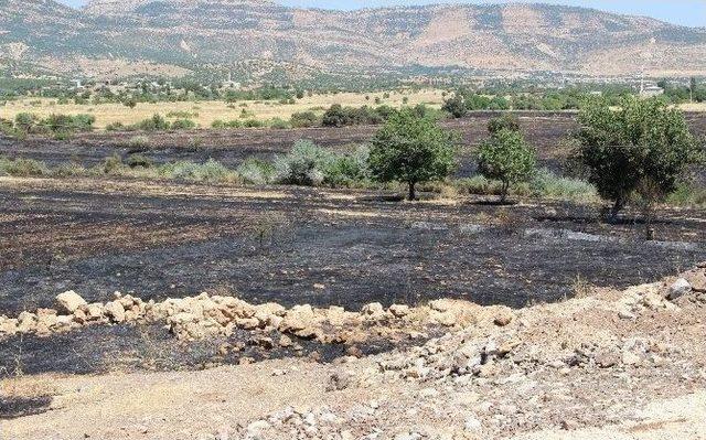 Lice’deki Yangının Büyüklüğü Gün Işığıyla Birlikte Ortaya Çıktı