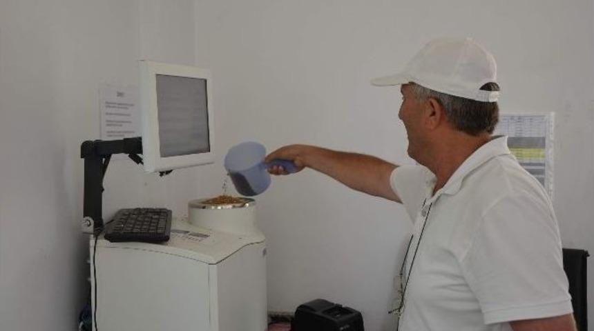 Eskişehir&rsquo;de Mahsul Alımı Başladı