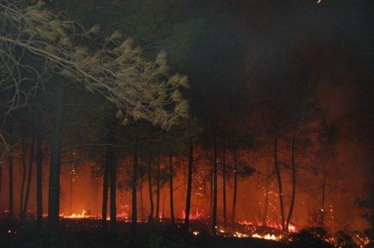 Orman Bölge Müdürü Erol: “yangın Riski Artarak Devam Edecek”