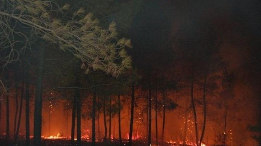 Orman B&ouml;lge M&uuml;d&uuml;r&uuml; Erol: &ldquo;yangın Riski Artarak Devam Edecek&rdquo;