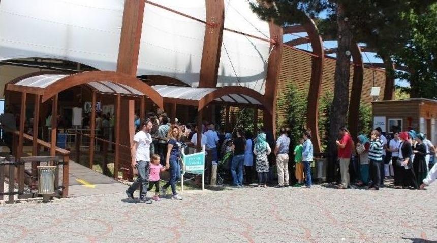 Teleferik 3 G&uuml;nde 27 Bin 474 Yolcu Taşıdı