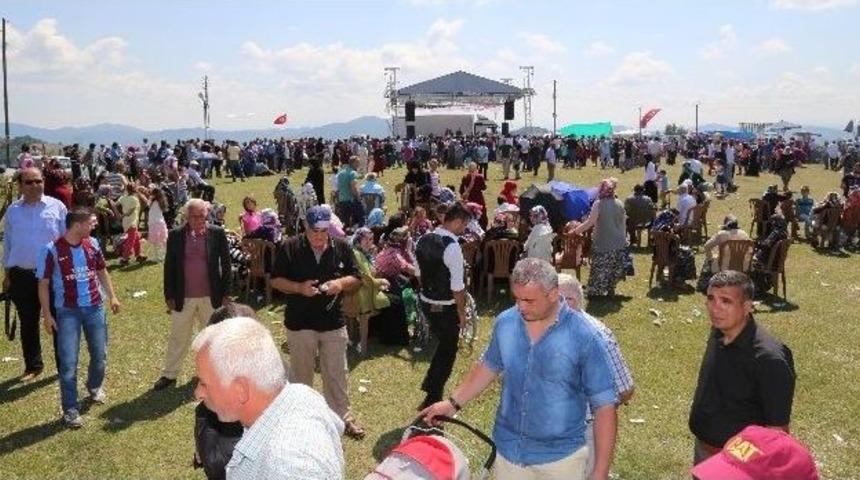Canik&rsquo;te &Ccedil;ilek Ve Kiraz Festivali