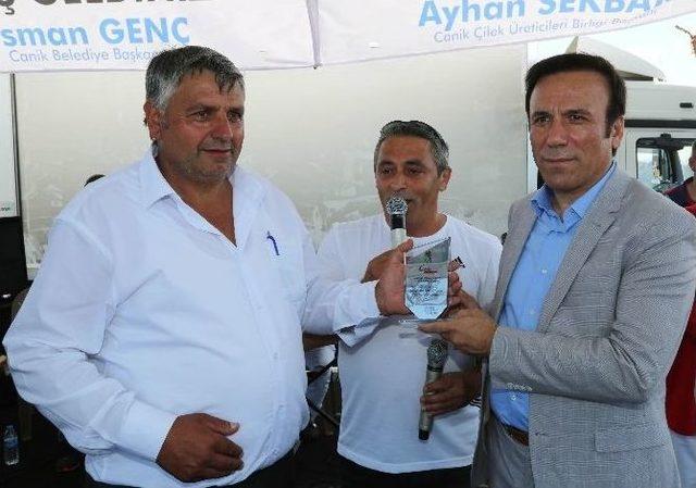 Canik&rsquo;te &Ccedil;ilek Ve Kiraz Festivali 1