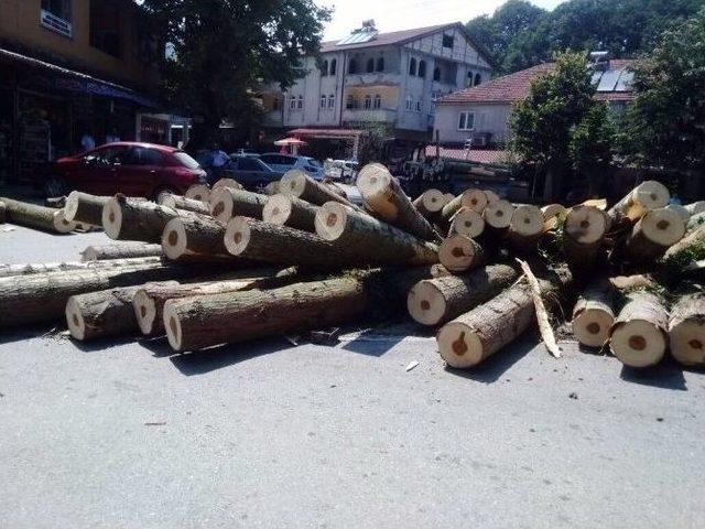 Kavak Ağaçları Yüklü Traktör Dingilinin Kırılması Sonucu Devrildi