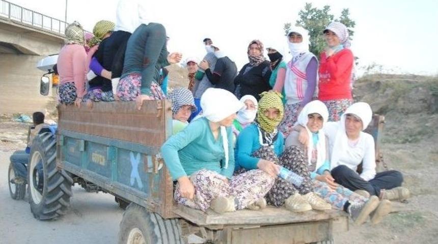 İş G&uuml;venliği Sadece Baret Takmak Değildir