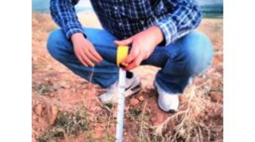 &Ccedil;ekirdekten Badem Yetiştiriyor