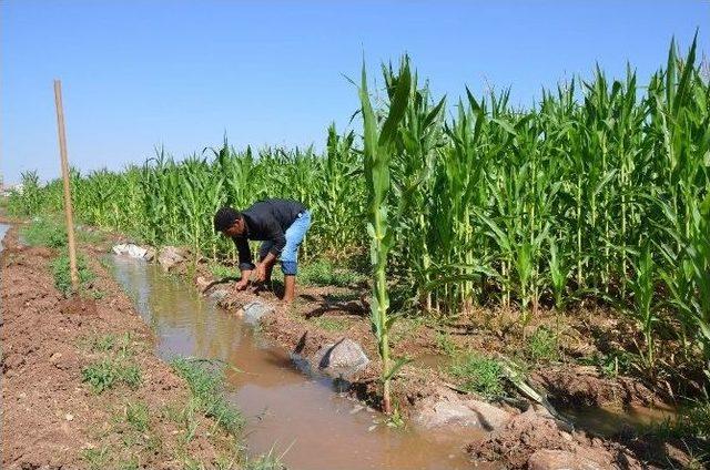 Dicle Edaş’dan Çiftçiler Uyarı