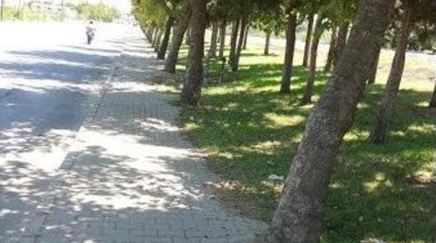 Alaşehir Park Ve Bah&ccedil;eleriyle Daha Da G&uuml;zel