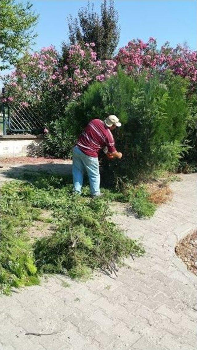 Alaşehir Park Ve Bahçeleriyle Daha Da Güzel