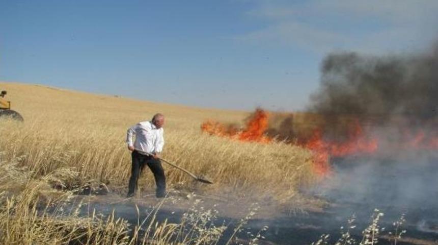 Tarla Yangınına 'kuş' Neden Olmuş