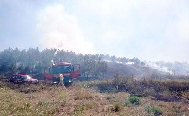 Ankara’Da Orman Yangınında 10 Dönümlük Alan Kül Oldu