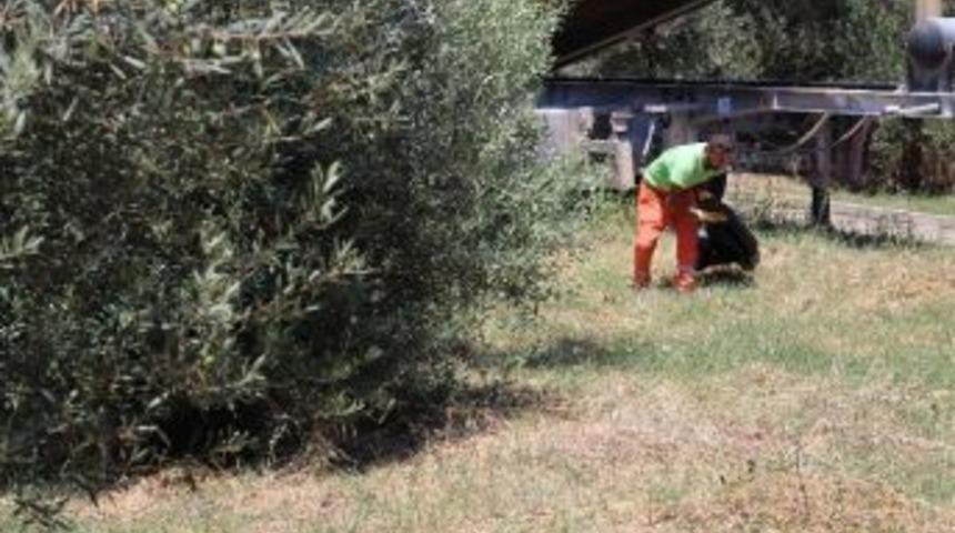 Temizlik Timleri K&ouml;rfez Sokaklarında