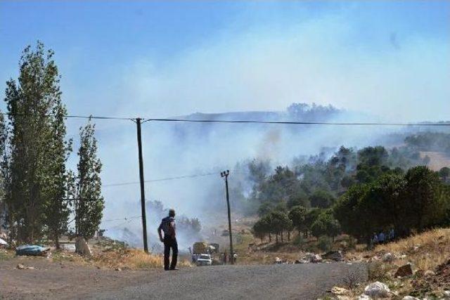 Çöplükteki Yangın Ormana Da Zarar Verdi