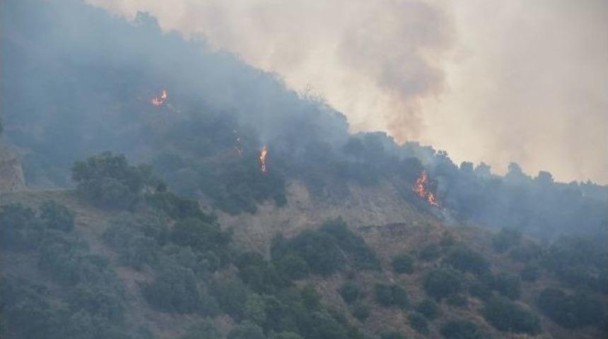 Aydın&rsquo;da Orman Yangını