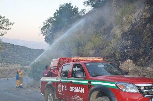 Aydın’da Orman Yangını