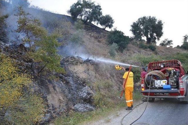 Aydın’da Orman Yangını