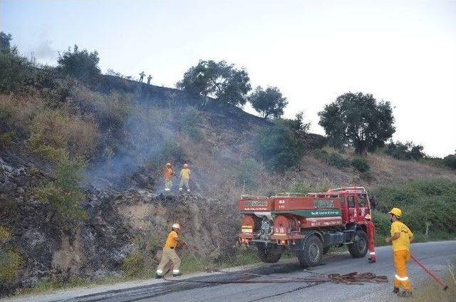 Aydın’da Orman Yangını