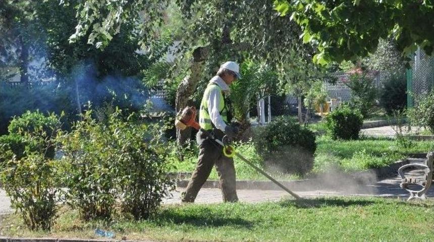 Alıcık: "nazilli&rsquo;nin K&uuml;lt&uuml;rel Değerlerine, Tarihine Sahip &Ccedil;ıkıyoruz"