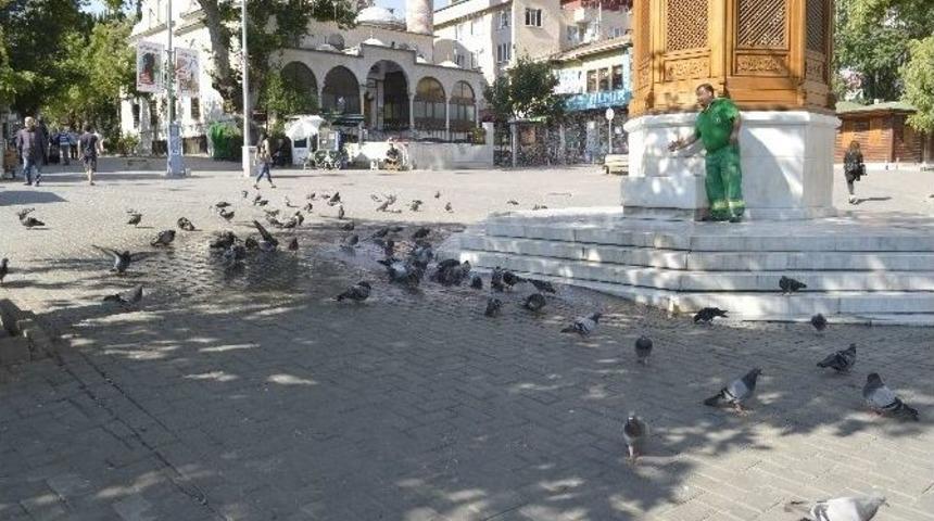 Güvercinler Böyle Serinledi