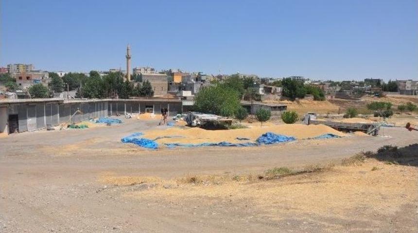 Buğday Pazarı Esnafı Yetkililere Seslendi