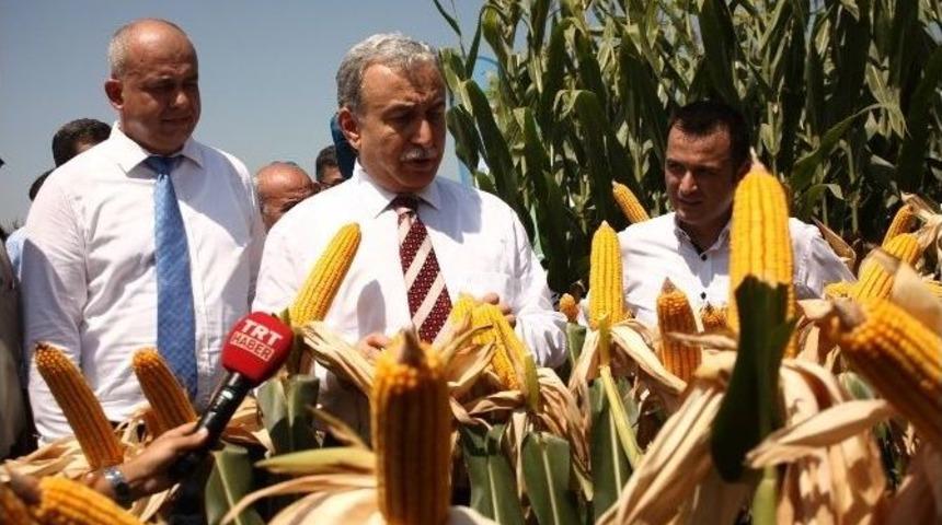 Vali B&uuml;y&uuml;k&rsquo;ten Anız Uyarısı