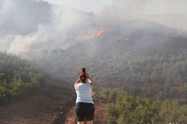 Orman Yangınında İhmal De Yok Yanlış Müdahale De