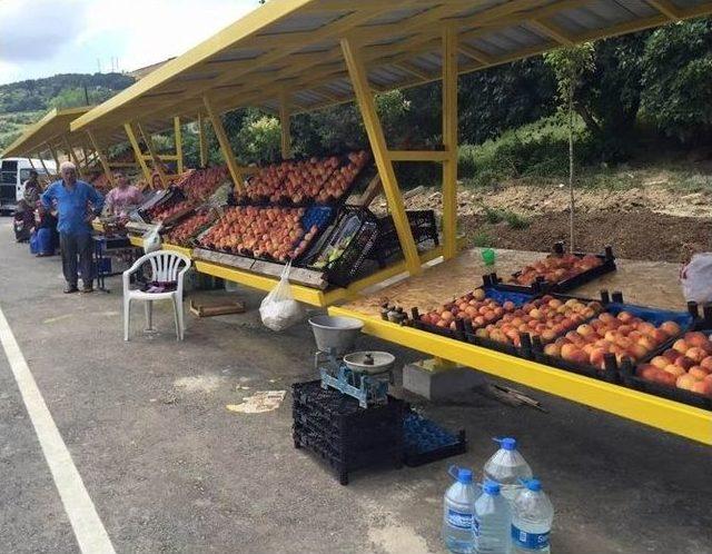 Büyükşehir’den “köy Ürünleri Pazarı”