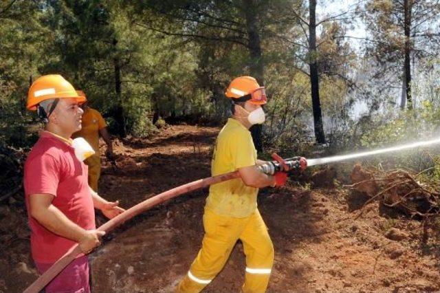 Antalya'da Orman Yangını