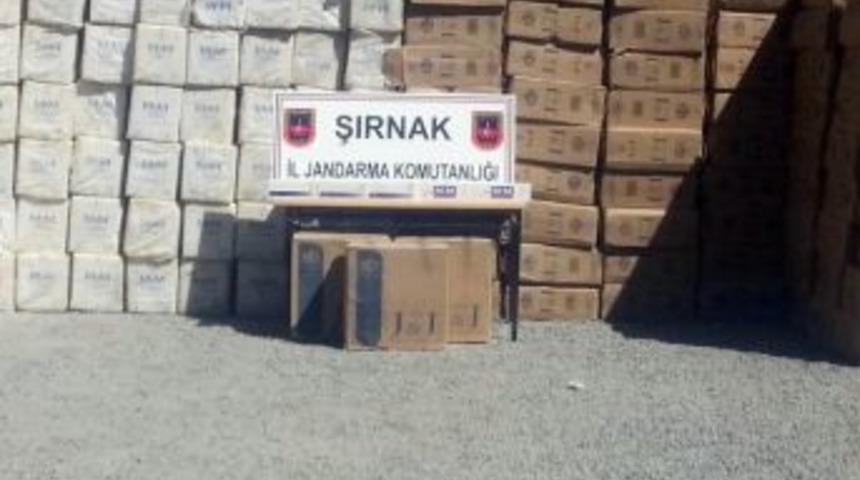 Şırnak&rsquo;ta 519 Bin Paket Ka&ccedil;ak Sigara Ele Ge&ccedil;irildi