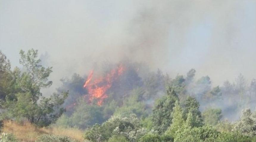 Hatay&rsquo;da Orman Yangını