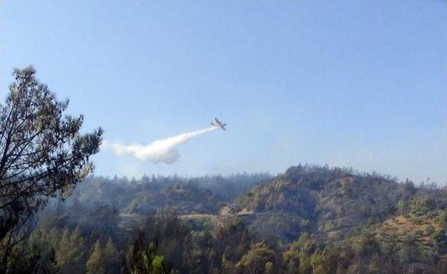 Hatay’da Orman Yangını 1