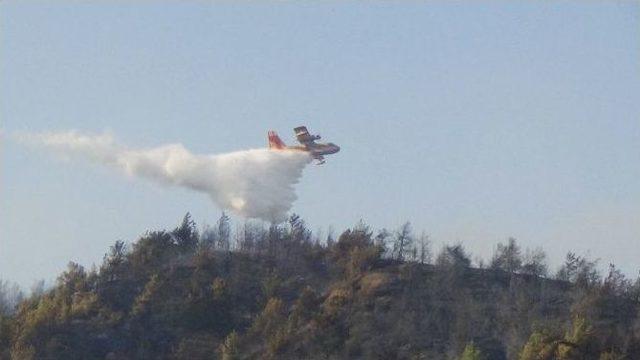 Hatay’da Orman Yangını 2