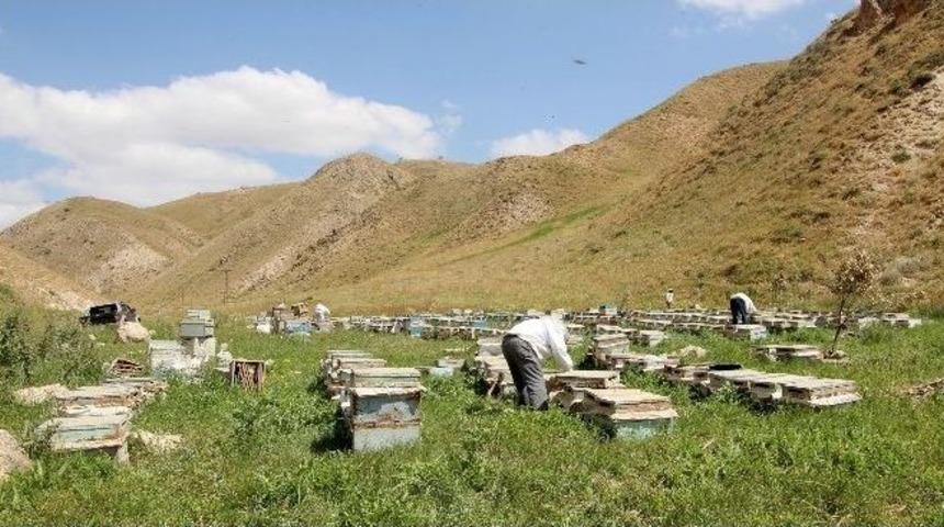 Her Derde Deva Şemdinli Balı Sahte Balların G&ouml;lgesinde Kaldı