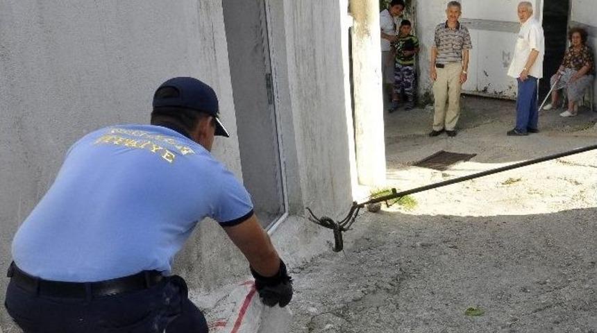 İtfaiye Erlerinin Yılanlarla Mücadelesi